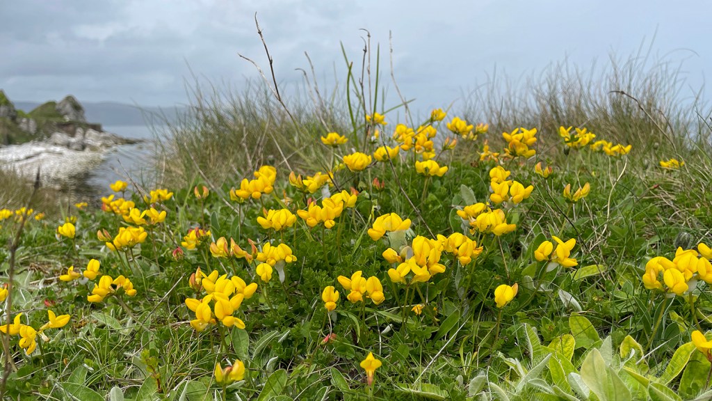 On the way to&nbsp;Ballintoy